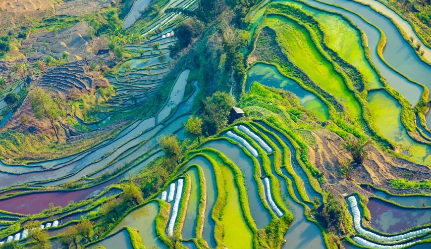 宝妈必备神器：石龙区产品视频拍摄轻松育儿好帮手