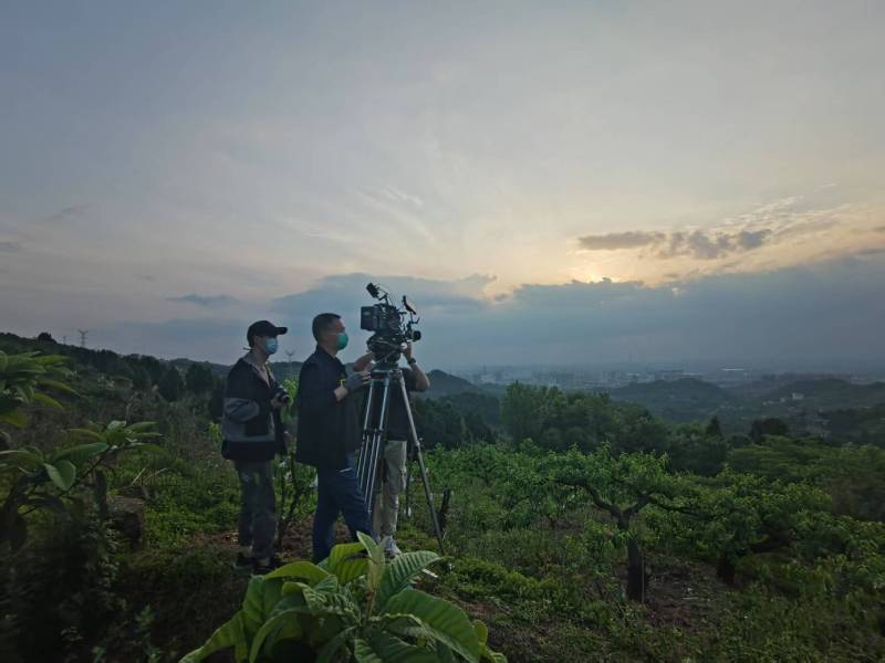 创意破圈！石龙区电商产品宣传视频用故事化叙事引爆流量
